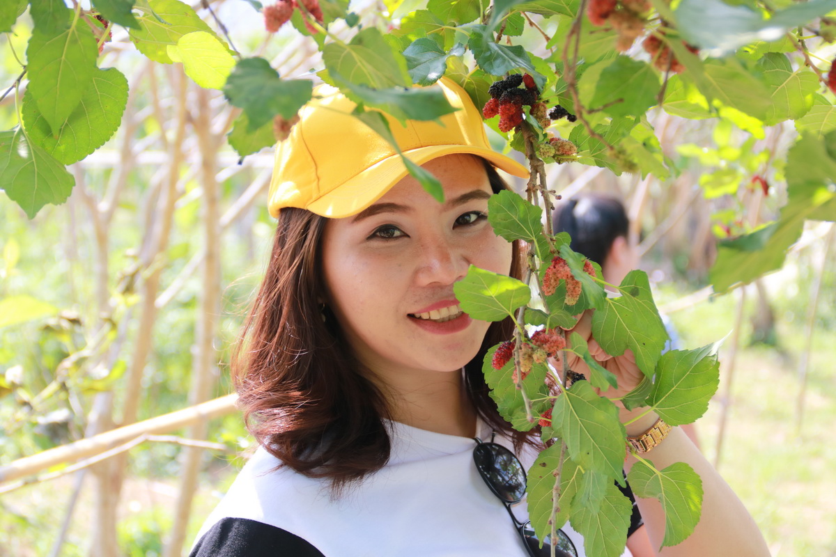 gal ghOVvu28o1 สถาบันเทคโนโลยีจิตรลดา CDTI