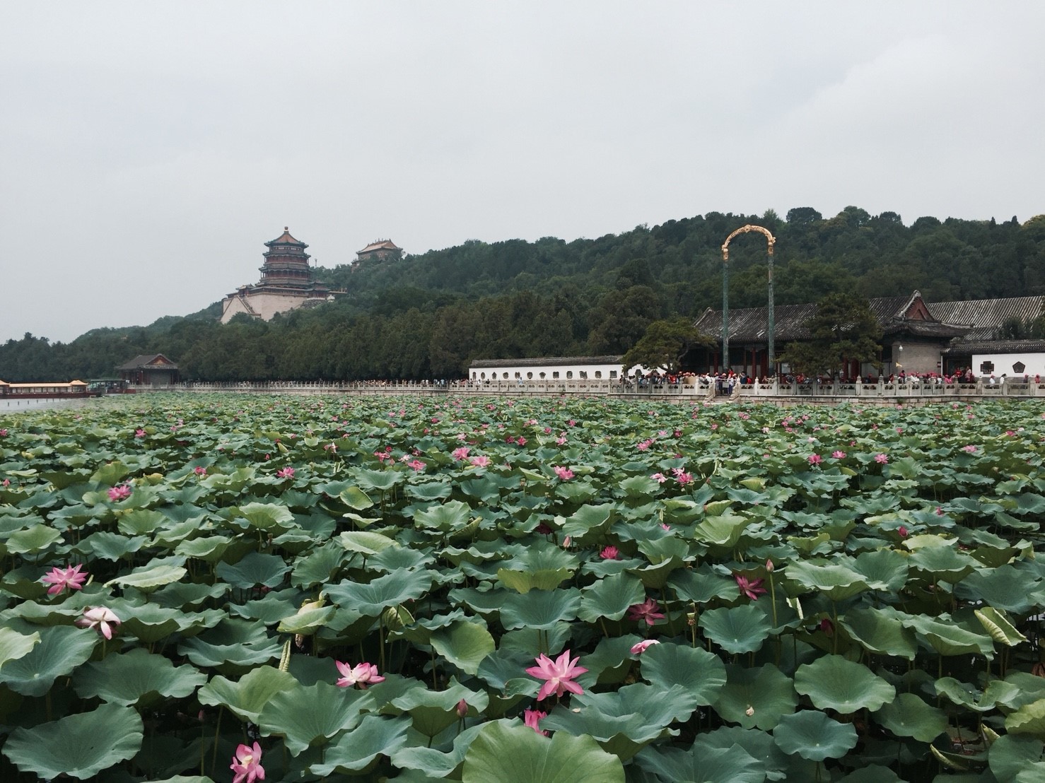 ทุนการศึกษาพระราชทานภาคฤดูร้อน — 1 พฤษภาคม 2025 — สถาบันเทคโนโลยีจิตรลดา CDTI
