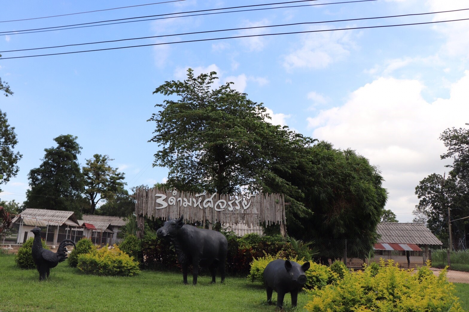 RDPB Camp — 1 พฤษภาคม 2025 — สถาบันเทคโนโลยีจิตรลดา CDTI