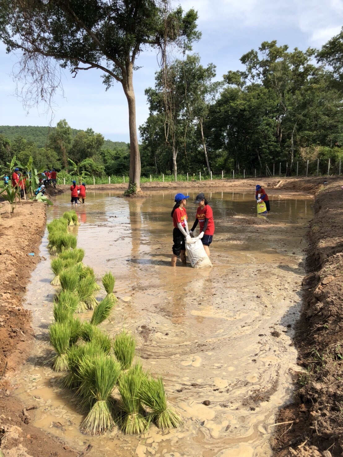 RDPB Camp — 1 พฤษภาคม 2025 — สถาบันเทคโนโลยีจิตรลดา CDTI