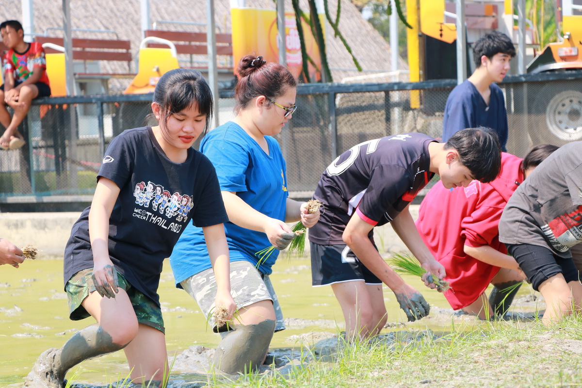 อนุรักษ์วิถีไทย — 2 พฤษภาคม 2025 — สถาบันเทคโนโลยีจิตรลดา CDTI