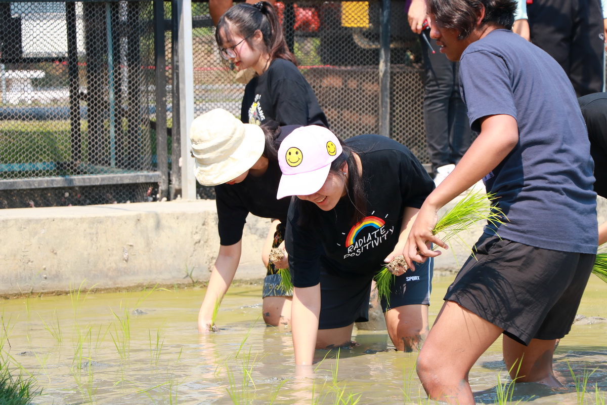 อนุรักษ์วิถีไทย — 2 พฤษภาคม 2025 — สถาบันเทคโนโลยีจิตรลดา CDTI
