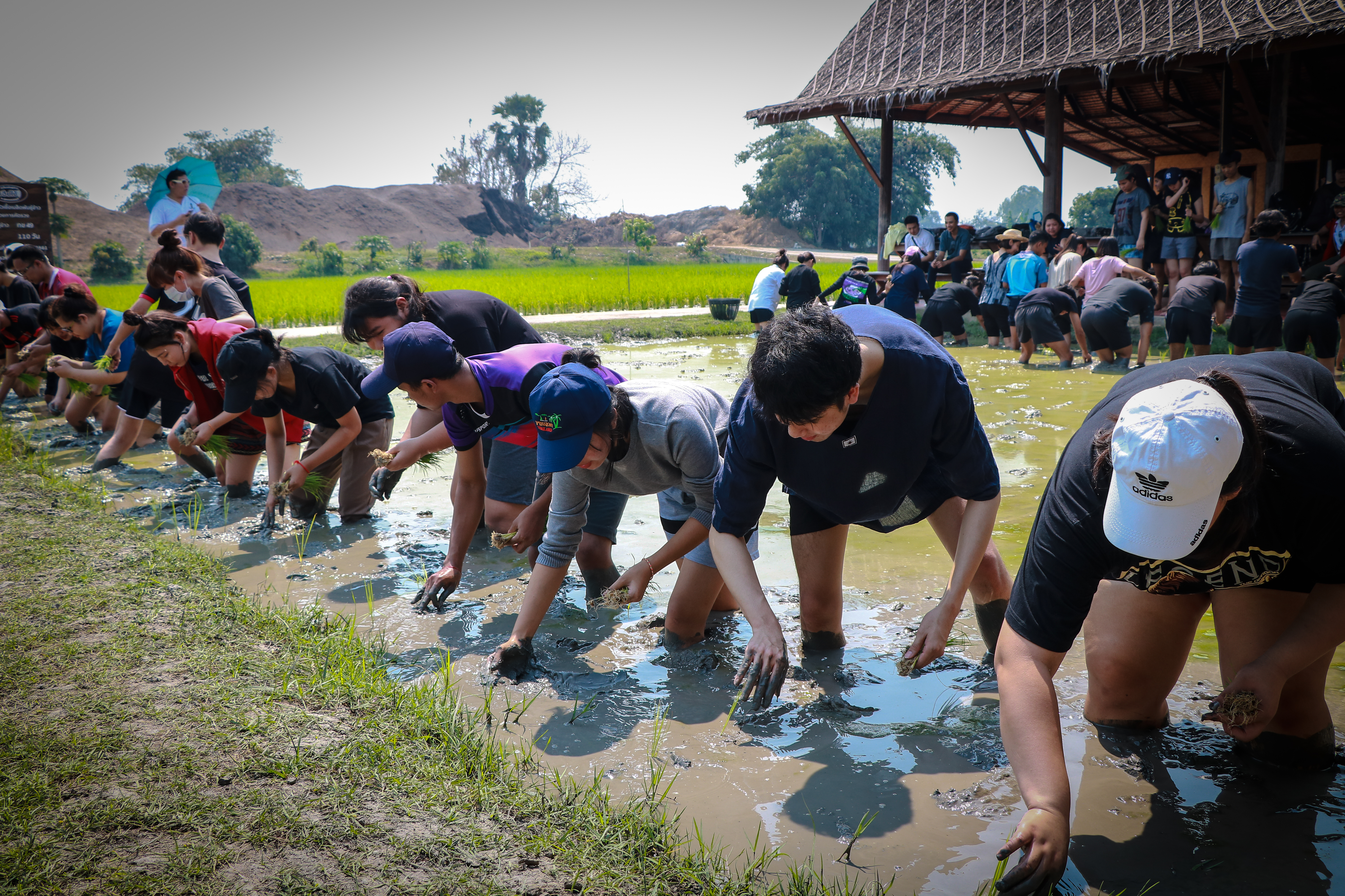 อนุรักษ์วิถีไทย — 2 พฤษภาคม 2025 — สถาบันเทคโนโลยีจิตรลดา CDTI