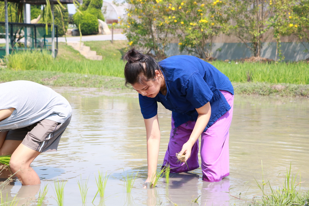 อนุรักษ์วิถีไทย — 2 พฤษภาคม 2025 — สถาบันเทคโนโลยีจิตรลดา CDTI