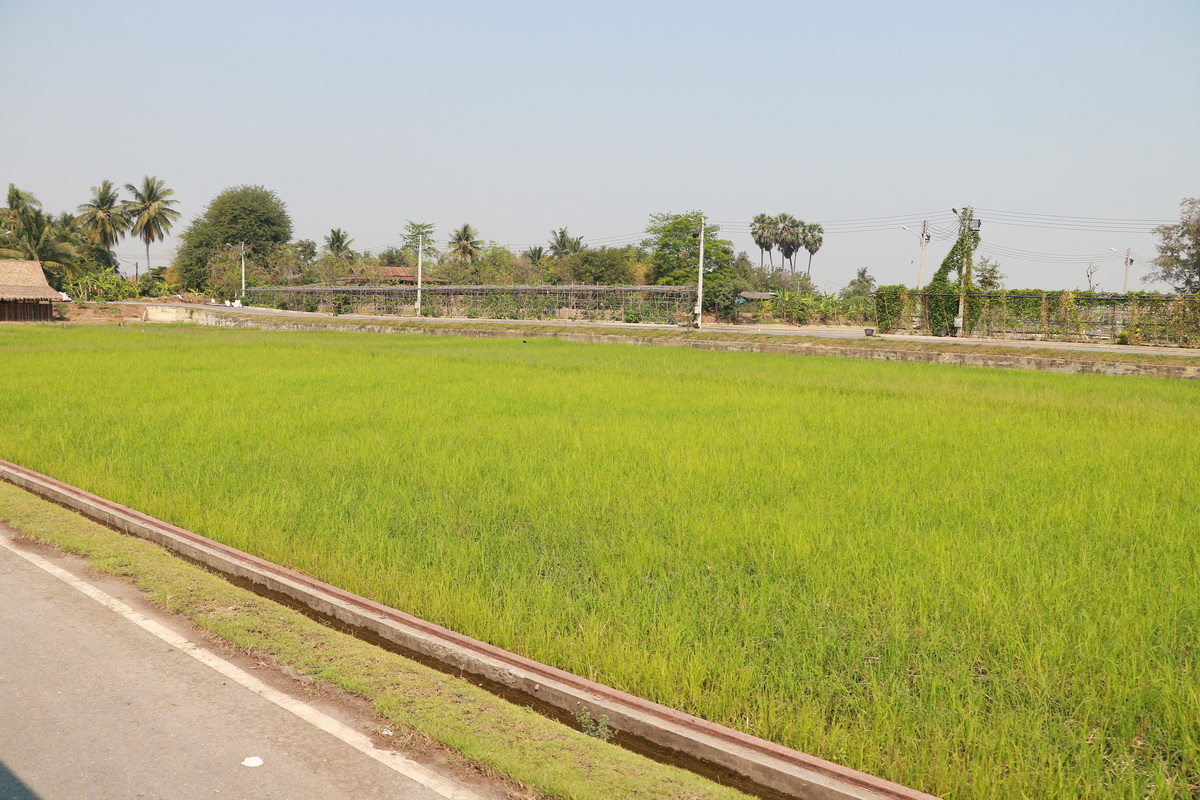 อนุรักษ์วิถีไทย — 2 พฤษภาคม 2025 — สถาบันเทคโนโลยีจิตรลดา CDTI