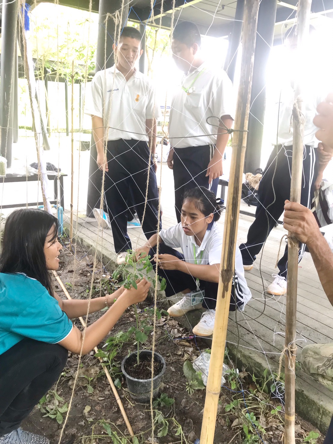 ศึกษาดูงาน ณ ป่าวังจันทร์ — 2 พฤษภาคม 2025 — สถาบันเทคโนโลยีจิตรลดา CDTI