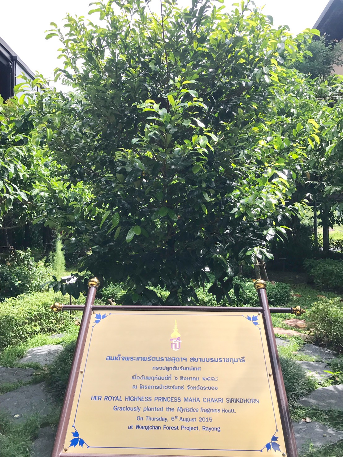 ศึกษาดูงาน ณ ป่าวังจันทร์ — 2 พฤษภาคม 2025 — สถาบันเทคโนโลยีจิตรลดา CDTI