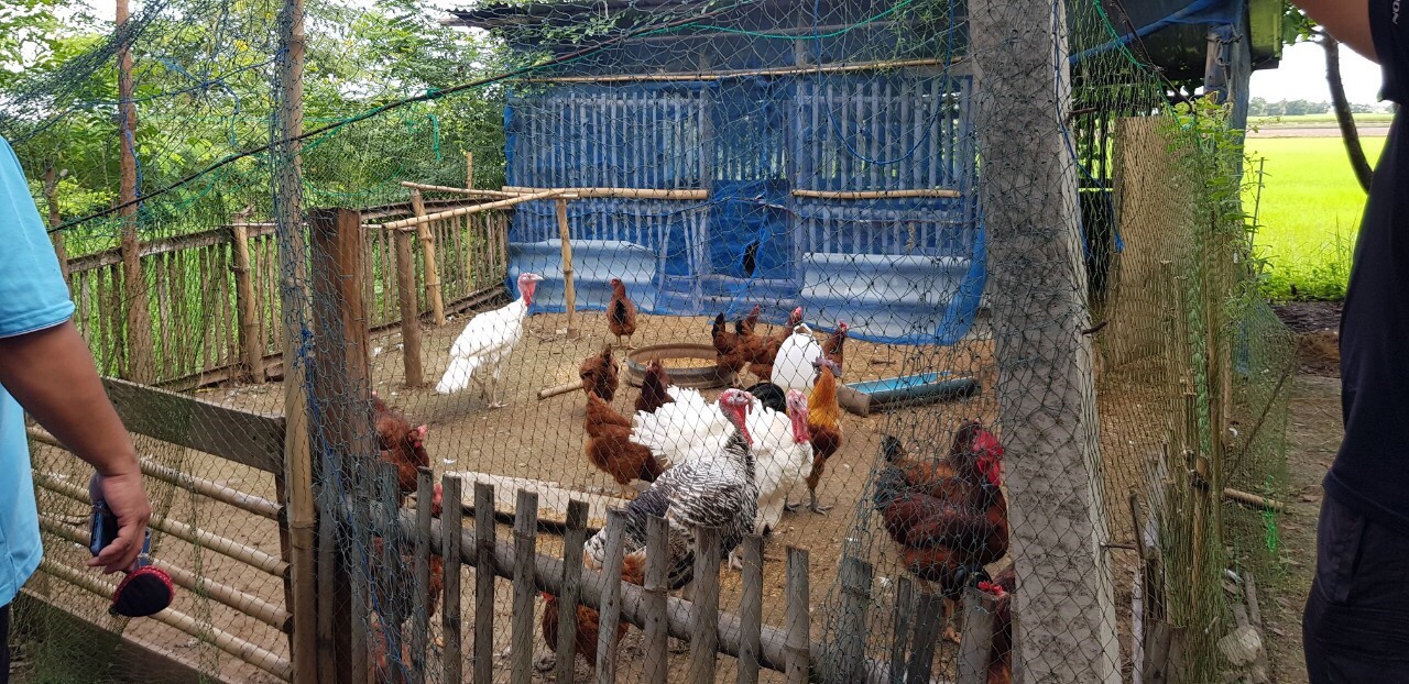 gal RaS9izsh3T สถาบันเทคโนโลยีจิตรลดา CDTI