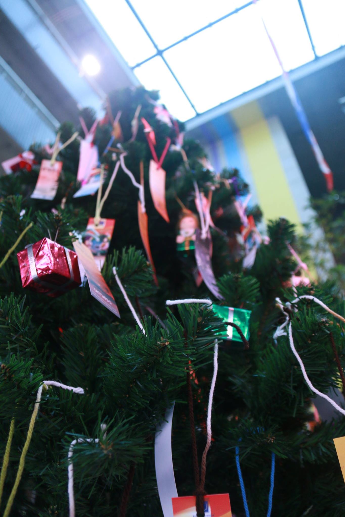 งาน GIVELOVE GIFTMARKET — 20 พฤษภาคม 2025 — สถาบันเทคโนโลยีจิตรลดา CDTI