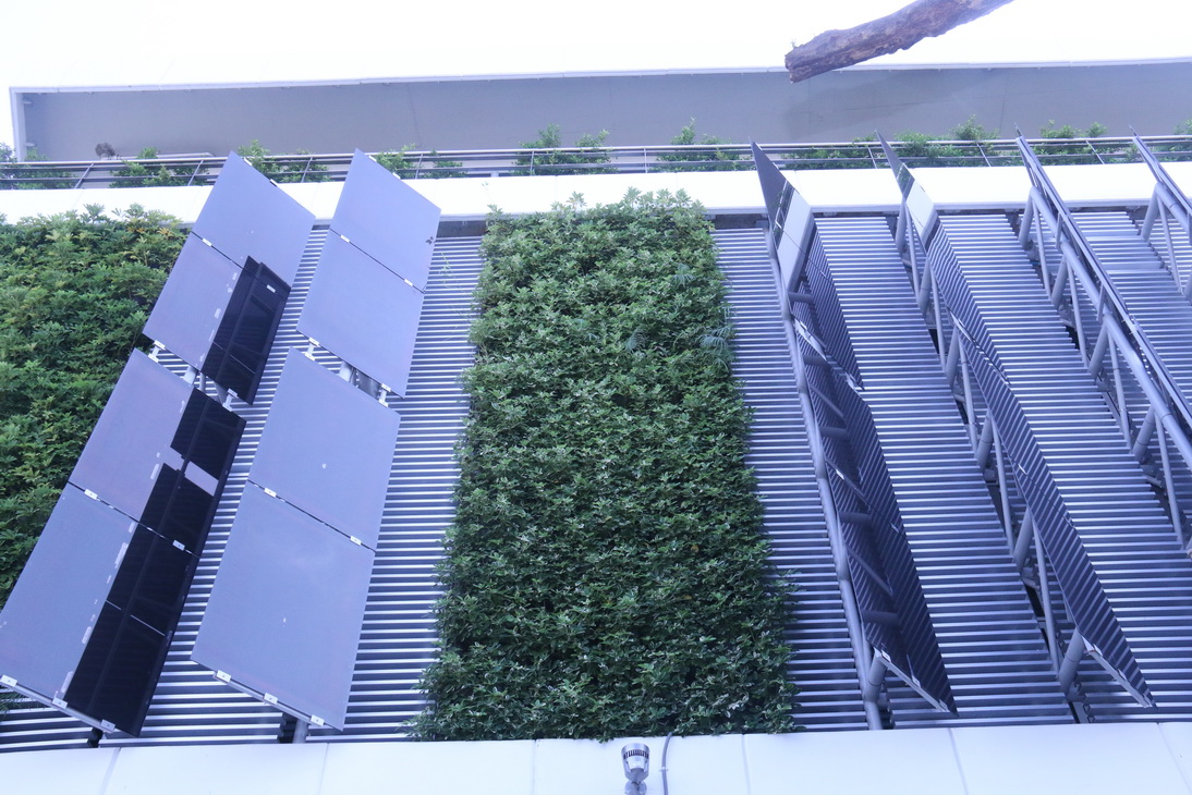 สถาบันเทคโนโลยีจิตรลดา CDTI