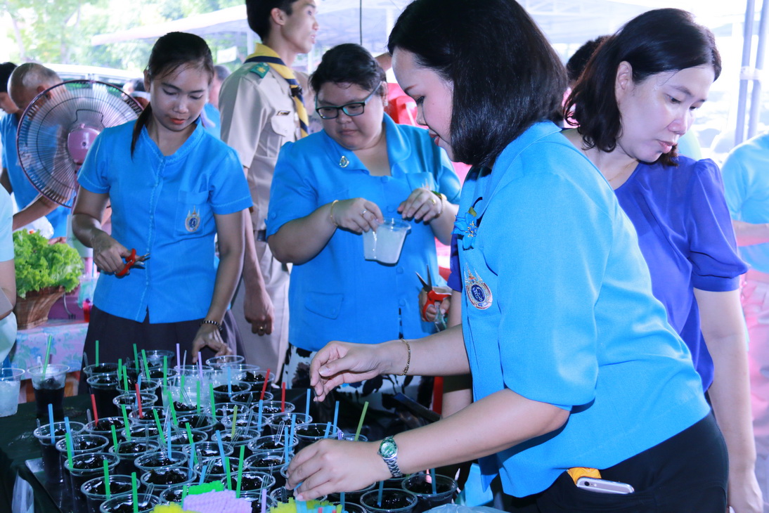 ประมวลภาพกิจกรรม "งานวันคลพิการ" เสาร์ที่ ๑๔ พฤศจิกายน ๒๕๕๘ ณ สวนอัมพร — 1 พฤษภาคม 2025 — สถาบันเทคโนโลยีจิตรลดา CDTI