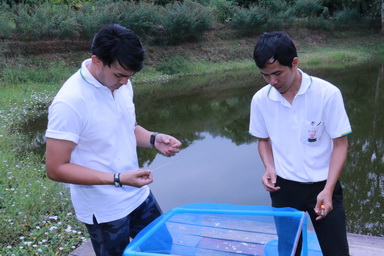 ประมวลภาพกิจกรรมจิตรอาสา ณ โรงเรียนตำรวจตระเวนชายแดนบ้านถ้ำหิน อำเภอสวนผึ่ง จังหวัดราชบุรี — 1 พฤษภาคม 2025 — สถาบันเทคโนโลยีจิตรลดา CDTI