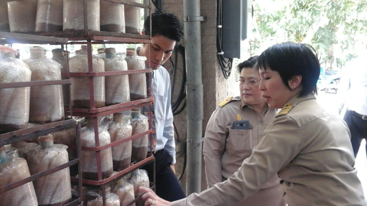 การทำวิจัยของอาจารย์และการปฏิบัติงานในสถานประกอบการของนักศึกษา กับโครงการส่วนพระองค์สวนจิตรลดา — 1 พฤษภาคม 2025 — สถาบันเทคโนโลยีจิตรลดา CDTI