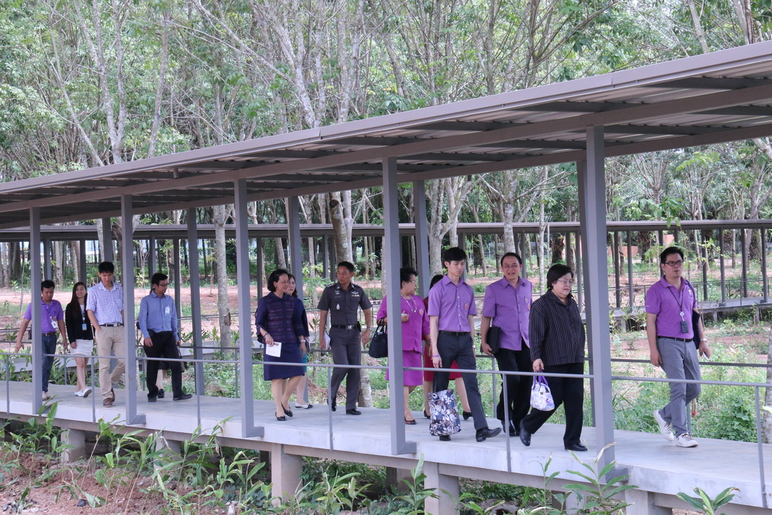 โครงการจัดตั้งสถาบันอุดมศึกษาและ โรงเรียนวิทยาศาสตร์ กลุ่ม ปตท. ณ จังหวัดระยอง — 18 พฤษภาคม 2025 — สถาบันเทคโนโลยีจิตรลดา CDTI