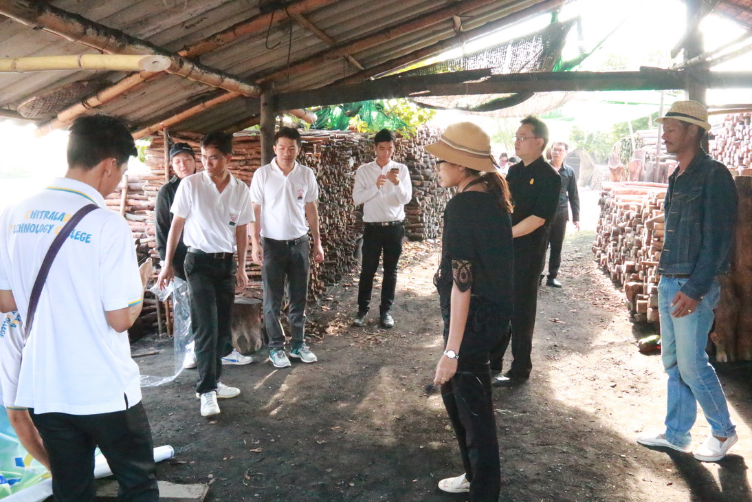 ปลูกป่าชายเลน ชุมชนคลองโคน จังหวัดสมุทรสงคราม — 25 เมษายน 2025 — สถาบันเทคโนโลยีจิตรลดา CDTI