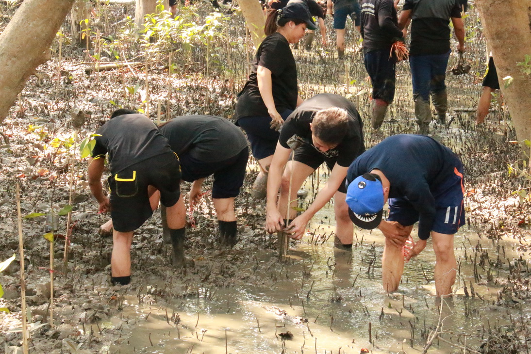 ปลูกป่าชายเลน ชุมชนคลองโคน จังหวัดสมุทรสงคราม — 25 เมษายน 2025 — สถาบันเทคโนโลยีจิตรลดา CDTI