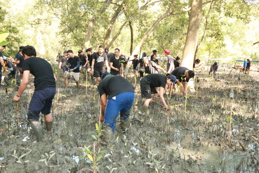 ปลูกป่าชายเลน ชุมชนคลองโคน จังหวัดสมุทรสงคราม — 25 เมษายน 2025 — สถาบันเทคโนโลยีจิตรลดา CDTI