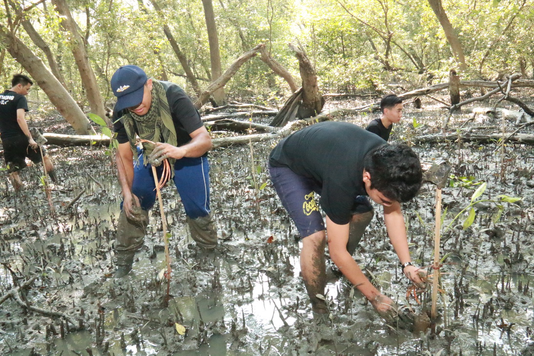 ปลูกป่าชายเลน ชุมชนคลองโคน จังหวัดสมุทรสงคราม — 25 เมษายน 2025 — สถาบันเทคโนโลยีจิตรลดา CDTI