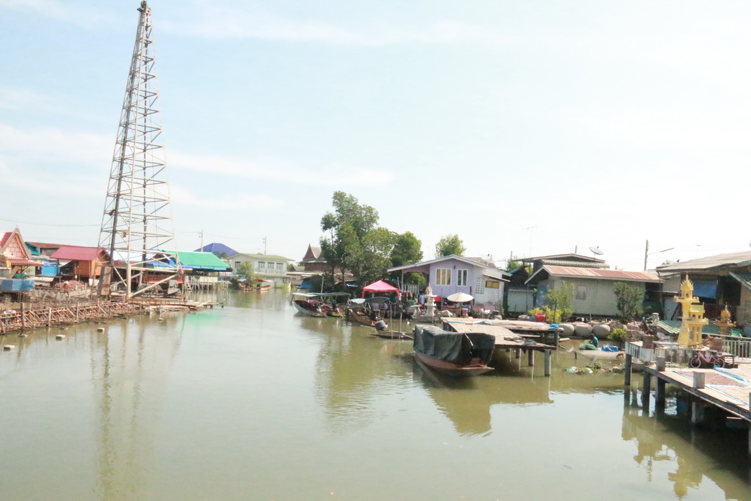 ปลูกป่าชายเลน ชุมชนคลองโคน จังหวัดสมุทรสงคราม — 25 เมษายน 2025 — สถาบันเทคโนโลยีจิตรลดา CDTI