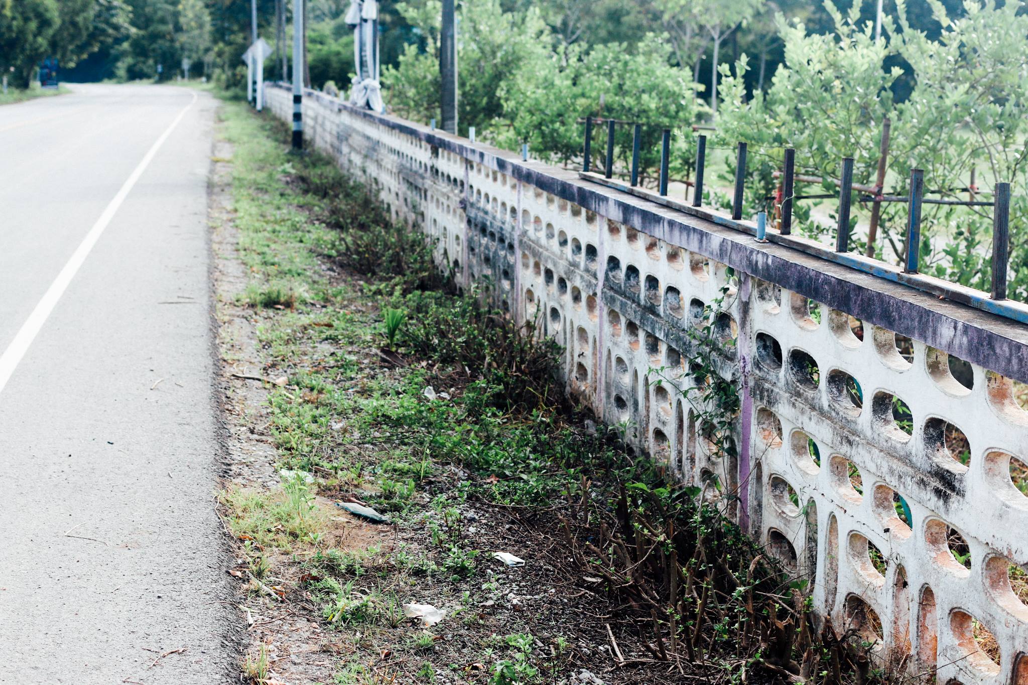 ค่ายอาสาจิตรลดา บางสะพาน — 18 มิถุนายน 2025 — สถาบันเทคโนโลยีจิตรลดา CDTI