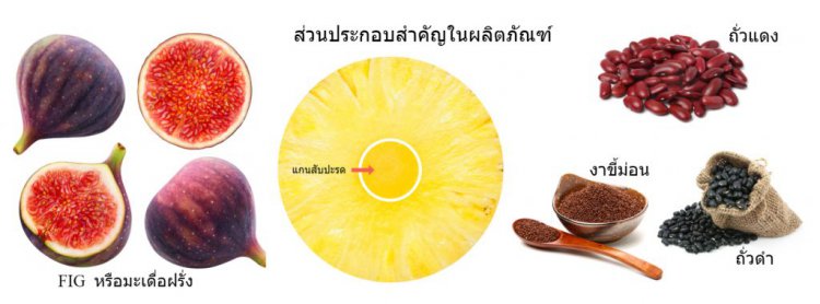 “FIGGIE” นวัตกรรมอาหารเสริมพุดดิ้งเพื่อผู้สูงอายุ รางวัล Silver Medal Award จาก ITEX 2019 — 2 พฤษภาคม 2025 — สถาบันเทคโนโลยีจิตรลดา CDTI