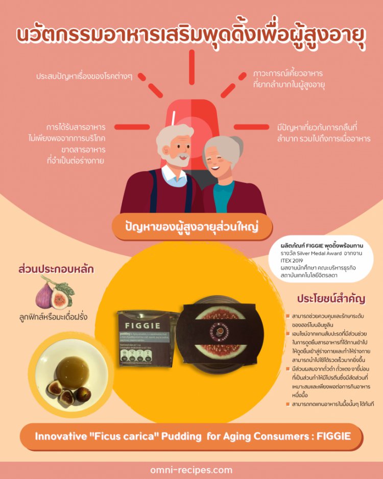 “FIGGIE” นวัตกรรมอาหารเสริมพุดดิ้งเพื่อผู้สูงอายุ รางวัล Silver Medal Award จาก ITEX 2019 — 2 พฤษภาคม 2025 — สถาบันเทคโนโลยีจิตรลดา CDTI