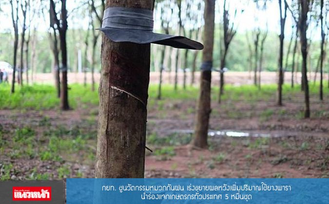 แนวหน้า กยท. ชูนวัตกรรมหมวกกันฝน เร่งขยายผลหวังเพิ่มปริมาณใช้ยางพารา นำร่องแจกเกษตรกรทั่วประเทศ 5 หมื่นชุด — 2 พฤษภาคม 2025 — สถาบันเทคโนโลยีจิตรลดา CDTI