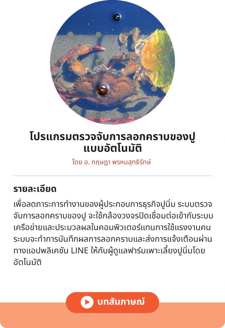 โปรแกรมตรวจจับการลอกคราบของปูแบบอัตโนมัติ — 2 พฤษภาคม 2025 — สถาบันเทคโนโลยีจิตรลดา CDTI