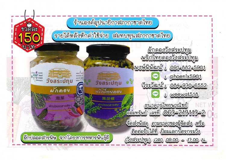 ​​​​​​​ผักปลอดสารพิษ จากโครงการทหารพันธุ์ดี!! — 2 พฤษภาคม 2025 — สถาบันเทคโนโลยีจิตรลดา CDTI