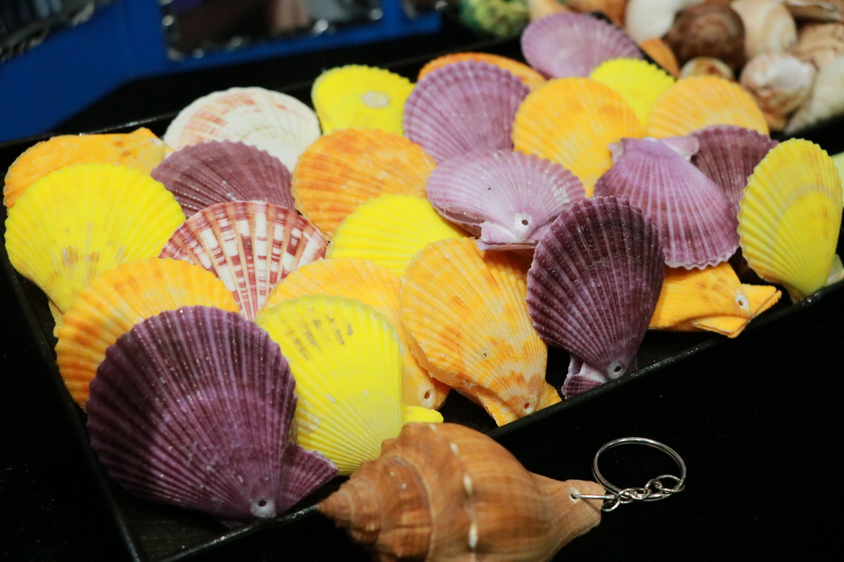 Share & Learn ตลาดนัดปันรู้ &mdash; 6 สิงหาคม 2026 &mdash; สถาบันเทคโนโลยีจิตรลดา CDTI