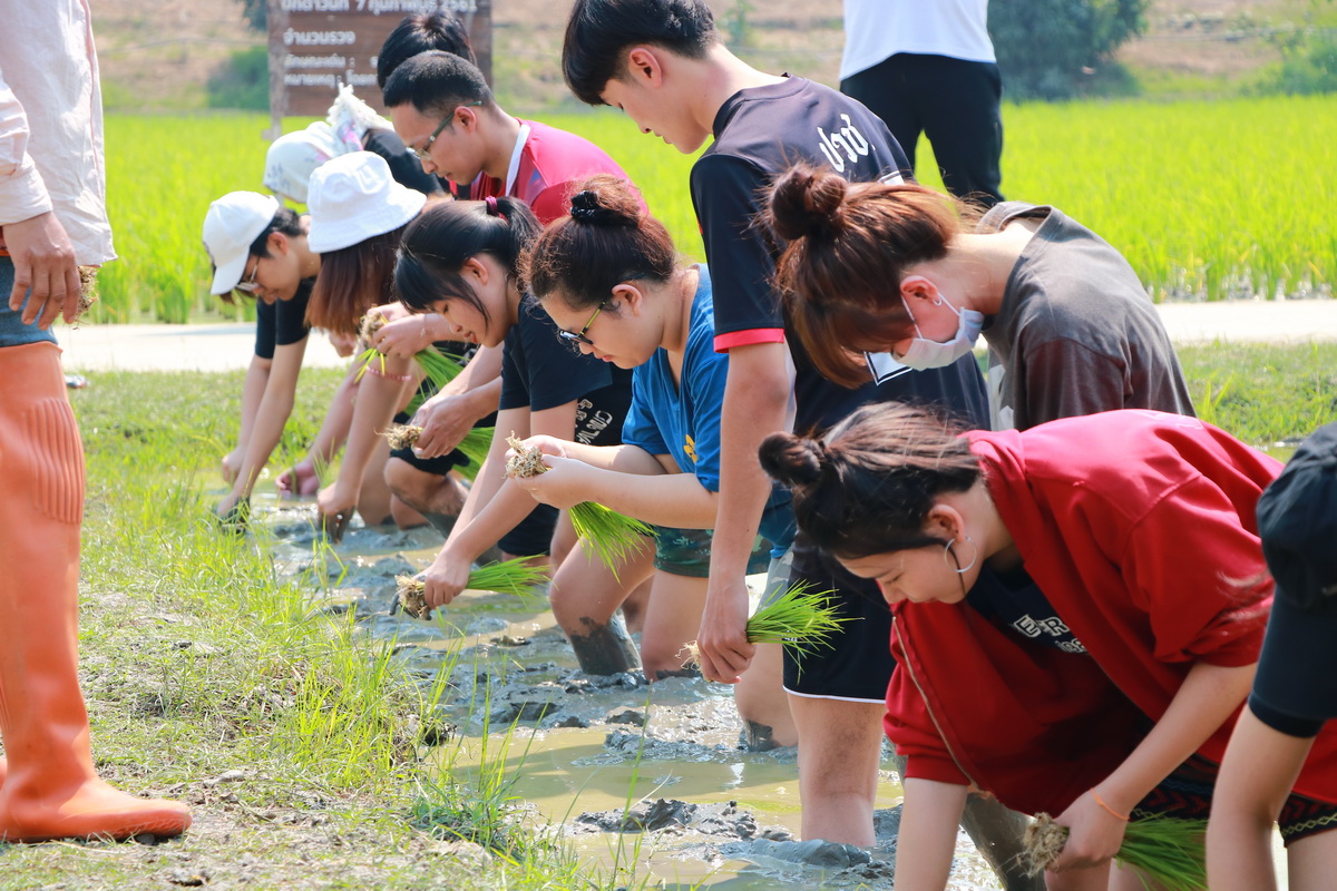 อนุรักษ์วิถีไทย &mdash; 11 กรกฎาคม 2026 &mdash; สถาบันเทคโนโลยีจิตรลดา CDTI