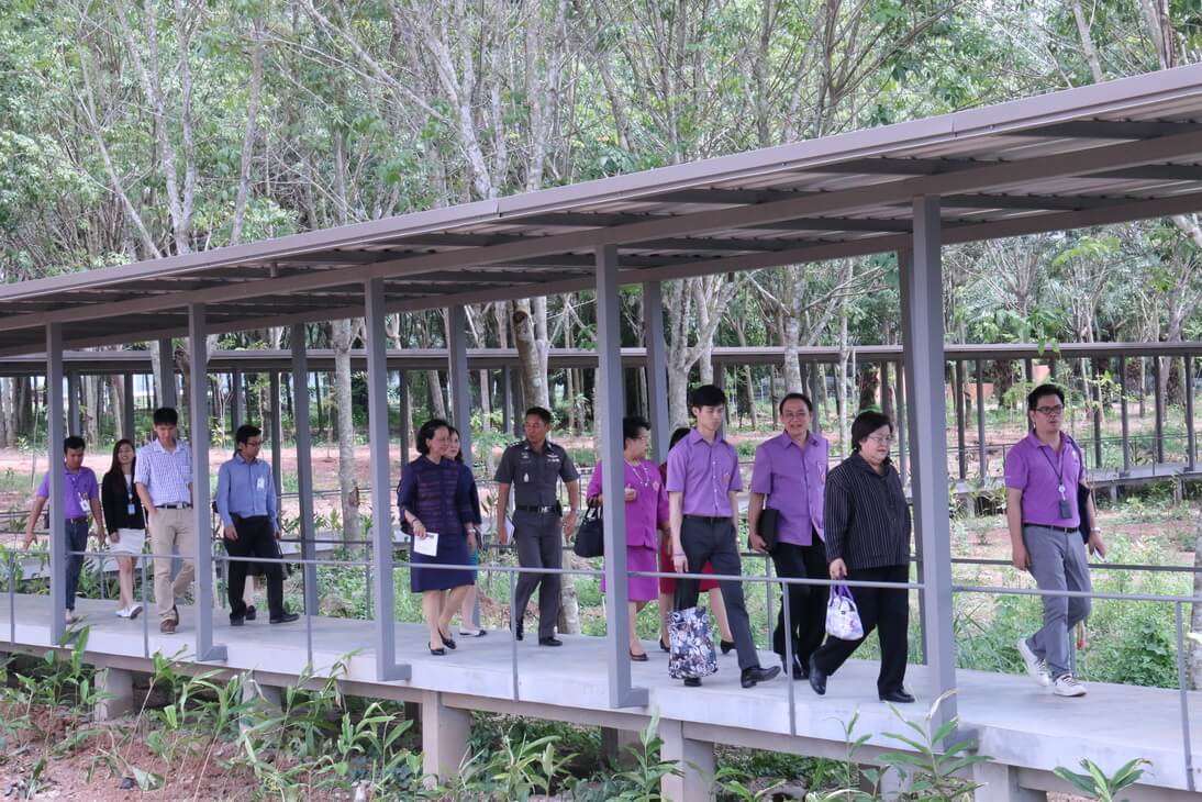 โครงการจัดตั้งสถาบันอุดมศึกษาและ โรงเรียนวิทยาศาสตร์ กลุ่ม ปตท. ณ จังหวัดระยอง &mdash; 5 สิงหาคม 2026 &mdash; สถาบันเทคโนโลยีจิตรลดา CDTI