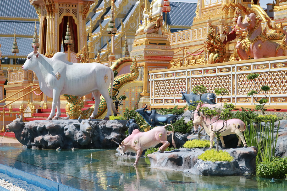 ชมนิทรรศการพระเมรุมาศ &mdash; 6 สิงหาคม 2026 &mdash; สถาบันเทคโนโลยีจิตรลดา CDTI