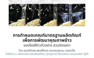 การกำหนดเกณฑ์มาตรฐานผลิตภัณฑ์ เพื่อการพัฒนาคุณภาพข้าวของโรงสีข้าวตัวอย่าง สวนจิตรลดา