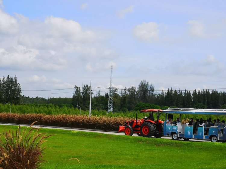 สจด.เข้าเยี่ยมชมและศึกษาดูงานโครงการ Kubota Farm โดยบริษัทสยามคูโบต้าคอร์ปอเรชั่น จำกัด — 3 พฤษภาคม 2025 — สถาบันเทคโนโลยีจิตรลดา CDTI