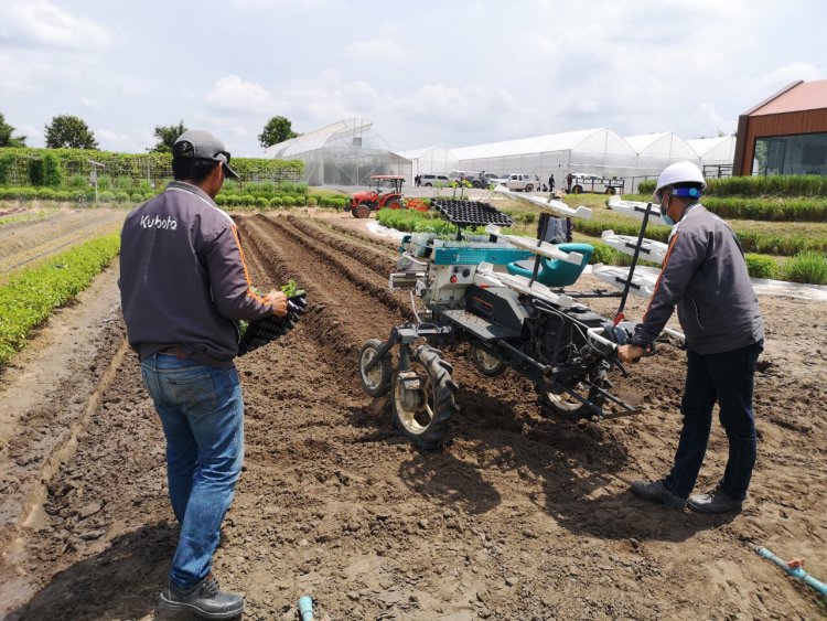 สจด.เข้าเยี่ยมชมและศึกษาดูงานโครงการ Kubota Farm โดยบริษัทสยามคูโบต้าคอร์ปอเรชั่น จำกัด — 3 พฤษภาคม 2025 — สถาบันเทคโนโลยีจิตรลดา CDTI