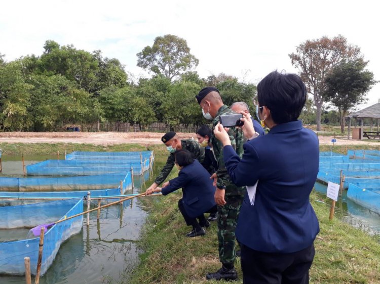 สถาบันเทคโนโลยีจิตรลดา CDTI