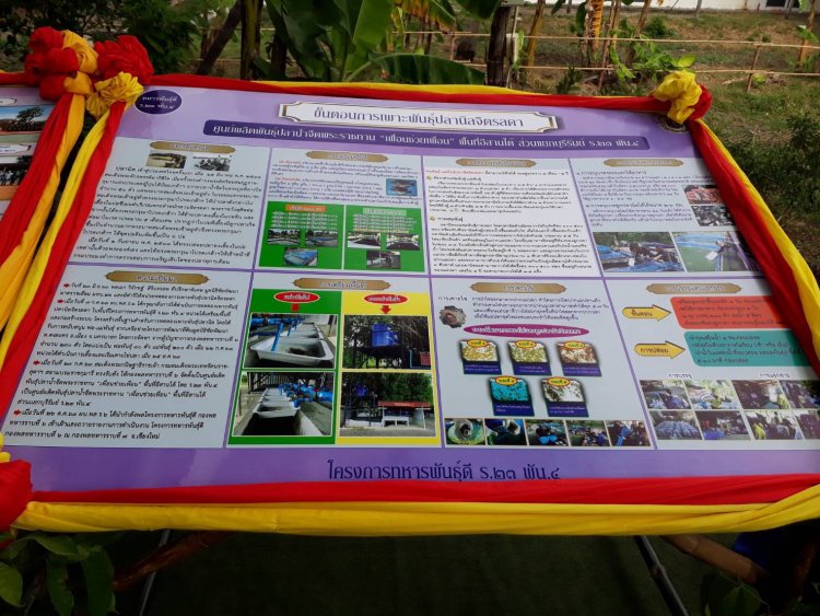 สถาบันเทคโนโลยีจิตรลดา CDTI