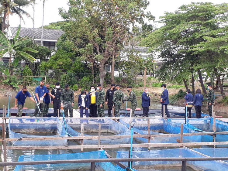 สถาบันเทคโนโลยีจิตรลดา CDTI