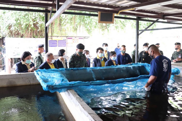 สถาบันเทคโนโลยีจิตรลดา CDTI