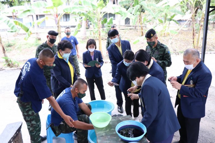 สถาบันเทคโนโลยีจิตรลดา CDTI