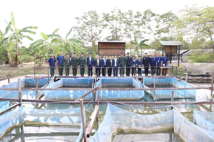 สถาบันเทคโนโลยีจิตรลดา CDTI