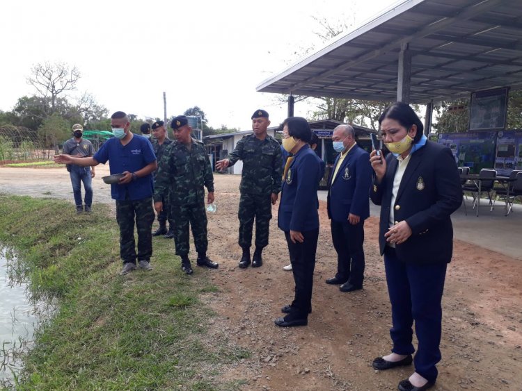 สถาบันเทคโนโลยีจิตรลดา CDTI