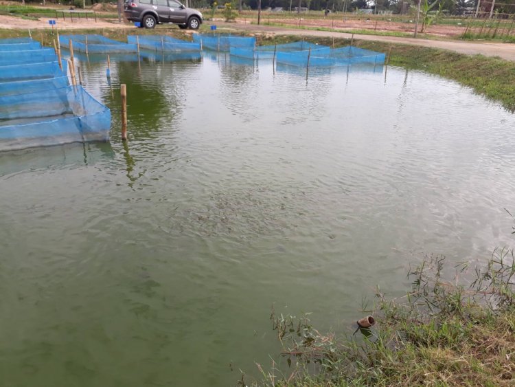 สถาบันเทคโนโลยีจิตรลดา CDTI