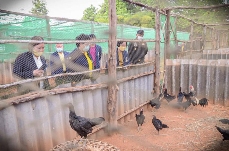 สถาบันเทคโนโลยีจิตรลดา CDTI