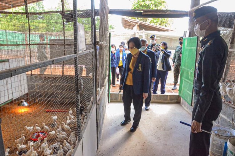 สถาบันเทคโนโลยีจิตรลดา CDTI