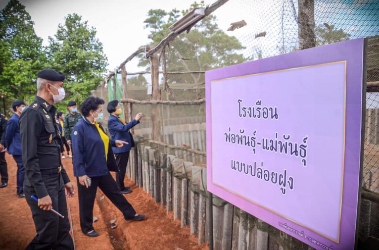 สถาบันเทคโนโลยีจิตรลดา CDTI
