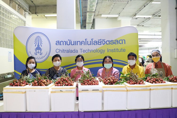 สถาบันเทคโนโลยีจิตรลดา CDTI