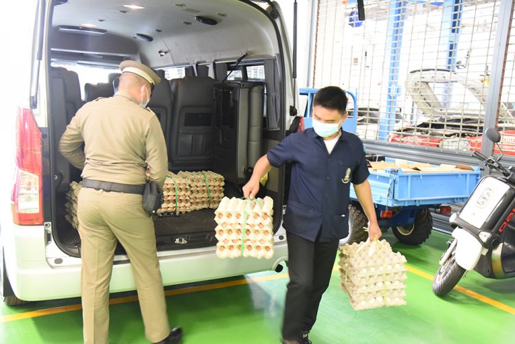 สถาบันเทคโนโลยีจิตรลดา CDTI