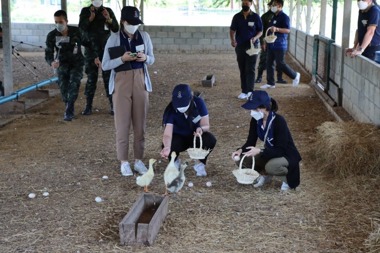 สถาบันเทคโนโลยีจิตรลดา CDTI